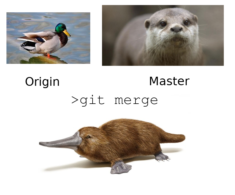 fig-merge-platypus